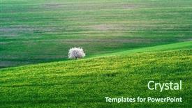  Presentation with green waves - Cool new slide set with fields waves - rural landscape with green field backdrop and a forest green colored foreground