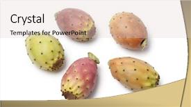  Presentation with fruit fig - PPT layouts consisting of fig fruit - whole cactus pears on white background and a lemonade colored foreground