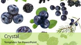  Presentation with fig tree - Colorful PPT theme enhanced with fig tree - collection set of blue purple backdrop and a yellow colored foreground