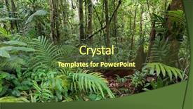  Presentation with fig tree - PPT theme consisting of fig tree - deep wet jungle in ko background and a tawny brown colored foreground