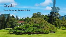  Presentation with sri lanka - Slide set with fig tree - ficus benjamina in peradeniya botanical background and a light blue colored foreground