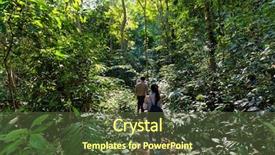  Presentation with walking cat - Presentation consisting of fig tree - trekkers walking in the dense background and a tawny brown colored foreground