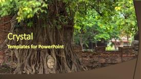  Presentation with fig tree - Amazing PPT layouts having fig tree roots in ayutthaya backdrop and a tawny brown colored foreground