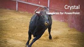  Presentation with spain - Cool new PPT theme with fighting bull picture from spain backdrop and a violet colored foreground