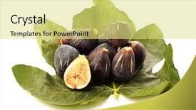  Presentation with fig tree - Amazing theme having figs backdrop and a yellow colored foreground