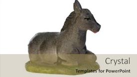  Presentation with mule - Presentation with figure-of-the-mule background and a coral colored foreground