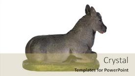  Presentation with mule - PPT theme having figure-of-the-mule background and a yellow colored foreground