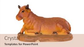  Presentation with manger - PPT theme enhanced with figure-of-the-ox background and a gold colored foreground