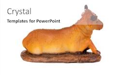  Presentation with manger - Presentation design consisting of figure-of-the-ox background and a white colored foreground