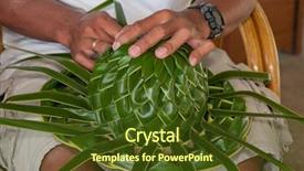  Presentation with palm leaves - Beautiful presentation theme featuring fiji islands - man is making a sunhat backdrop and a tawny brown colored foreground