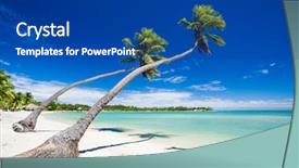  Presentation with palm - Beautiful presentation featuring fiji islands - palm trees hanging over stunning backdrop and a ocean colored foreground