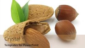  Presentation with almond - PPT layouts with filbert and almond with leaves background and a coral colored foreground