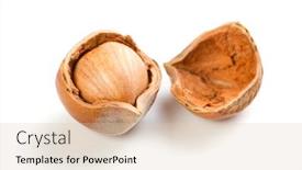  Presentation with nut - Slide deck consisting of hazelnuts walnuts - filbert nut isolated on white background and a lemonade colored foreground