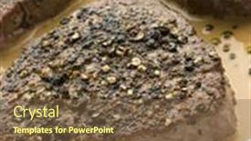  Presentation with paella pan of rice - Cool new presentation theme with filet-mignon-au-poirve backdrop and a tawny brown colored foreground