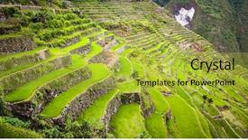 Presentation with rice terraces - Audience pleasing PPT theme consisting of filipino food - 2000-year old batad rice terraces backdrop and a yellow colored foreground