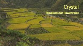  Presentation with filipino - PPT layouts having filipino food - beautiful stepped of rice terraces background and a tawny brown colored foreground