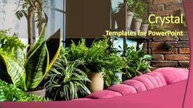  Presentation with lover - Slide deck having filled a lot of plant background and a tawny brown colored foreground