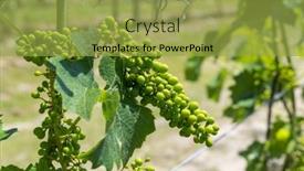  Presentation with dough - PPT theme consisting of filled-apple-baked-in-crispy background and a yellow colored foreground