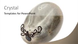  Presentation with female - Theme enhanced with filled-female-adult-tick-isolated background and a white colored foreground