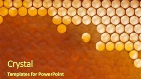  Presentation with organic - Presentation theme featuring filled waxed honeycombs with fresh background and a tawny brown colored foreground
