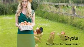  Presentation with chinese pastry or mooncake filled - Presentation theme consisting of filled with eggs with chicken background and a yellow colored foreground
