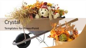  Presentation with fall foliage - Cool new presentation theme with filled with gourds and more backdrop and a coral colored foreground