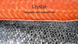 Presentation with salmon fish - Presentation design enhanced with fillet with silver fish skin background and a coral colored foreground