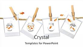  Presentation with old film - Theme featuring film frames with funny goldfish background and a  colored foreground