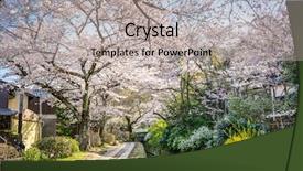  Presentation with philosopher - Audience pleasing PPT theme consisting of filosofi - kyoto japan at philosopher's walk backdrop and a light gray colored foreground