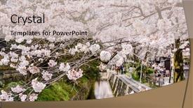  Presentation with philosopher - Presentation design consisting of filosofi - kyoto japan at philosopher's walk background and a soft green colored foreground