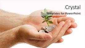  Presentation with growing tree - Slide set with little snowman friend stands in a cap among the white snow and behind it there is an interesting snow-covered textured window with six squares background and a sky blue colored foreground