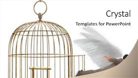  Presentation with birdcage - Colorful presentation enhanced with financial freedom - man in a suit flying backdrop and a white colored foreground