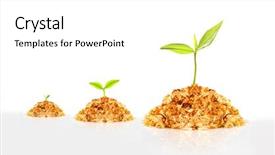  Presentation with successful investment - Slides featuring financial growth and successful investment background and a white colored foreground