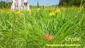  Presentation with hidden - Amazing PPT theme having find hidden - easter eggs in the grass backdrop and a  colored foreground