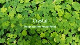  Presentation with clover - Slide set having find shape - clover plants background and a tawny brown colored foreground