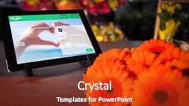  Presentation with alumni website - Theme with find shape - dating website against fresh flowers background and a crimson colored foreground