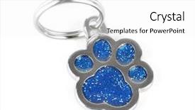  Presentation with paw - PPT theme consisting of find shape - doggy paw pet charm isolated background and a white colored foreground