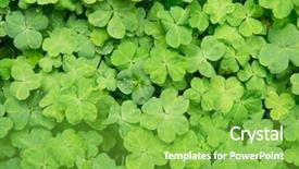  Presentation with clover - Slide deck featuring find shape - hree shamrock leaves background and a seafoam green colored foreground