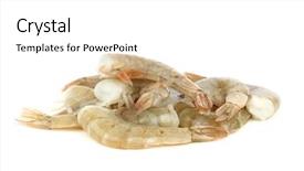 Presentation with shrimps - Presentation theme enhanced with king fine - fresh shrimps background and a white colored foreground