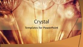  Presentation with floral abstract - Theme consisting of fine art - abstract floral background beautiful grunge background and a yellow colored foreground