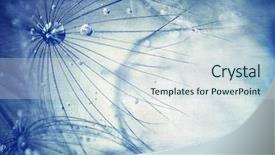  Presentation with blue floral - Cool new presentation theme with fine art - beautiful blue dandelion background macro backdrop and a sky blue colored foreground