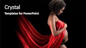  Presentation with fine art - Colorful slide set enhanced with portrait of red barnyard mix crossbreed rooster backdrop and a coral colored foreground