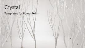  Presentation with fine art - Slides enhanced with fine art photo background and a light gray colored foreground