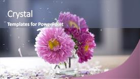  Presentation with drawing of pink lotus flower - Theme consisting of fine ceramic - beautiful pink aster flowers background and a  colored foreground