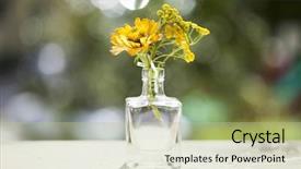  Presentation with mustard seeds yellow flowers - Slides having fine ceramic - beautiful yellow aster flowers background and a  colored foreground