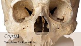  Presentation with human anatomy - Amazing presentation theme having fine closeup image of human backdrop and a coral colored foreground