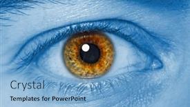  Presentation with human eye - 