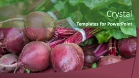  Presentation with grown - PPT theme having fine grown beet offered at market stall background and a forest green colored foreground