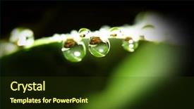  Presentation with water drop - Presentation with fine macro image of water background and a tawny brown colored foreground