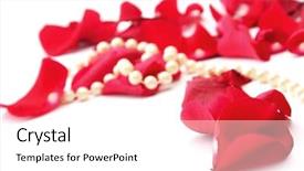  Presentation with pearl - Slide set with fine pearl beads and red roses petals background and a white colored foreground